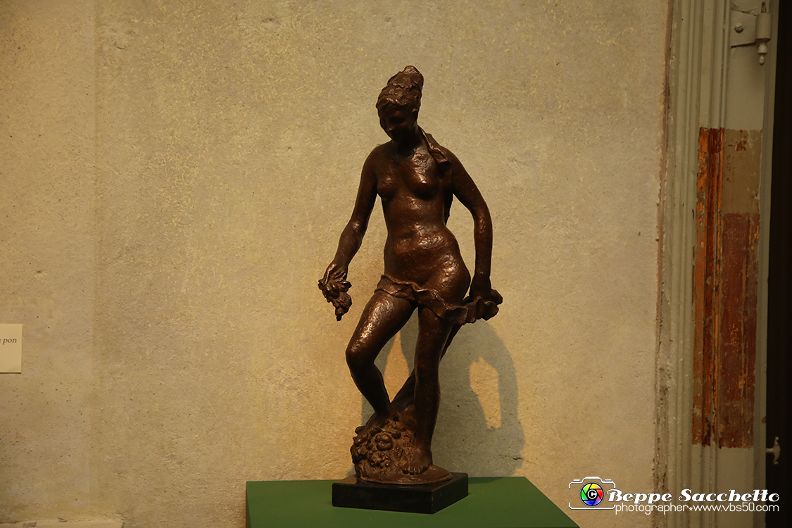 VBS_1341 - Castello di Miradolo - Mostra Oltre il giardino l'Abbecedario di paolo Pejrone.jpg